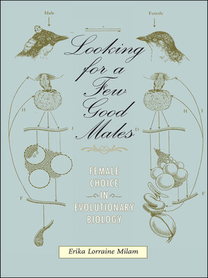 cover image of Looking for a Few Good Males